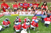 当地时间2010年6月3日，韩国龙仁，为迎接世界杯，小企鹅穿上韩国队服参加足球赛。图片来源：环球网