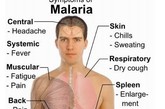 9.疟疾可以杀死梅毒病菌 每年至少有300万人死于疟疾，许多贫穷人必须远离家乡，才能避免传播感染这种疾病。但在20世纪20年代，一个医生发现疟疾具有奇特副作用——杀死梅毒病菌。人们一旦患有梅毒，通常情况下都会死亡。而疟疾发烧症状可以使身体保持高温，杀死体内梅毒病菌。

