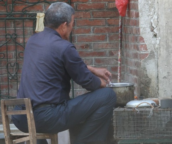 传“鼠干”补肾受欢迎 老鼠真的能吃吗