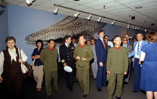 刘华清（1916—2011），湖北大悟人，1988年9月被授予上将军衔，他为中国海军的现代化发展作出了不可磨灭的贡献，被称为中国的“现代海军之父”和“中国航母之父”。 这是一组1980年刘华清将军访美的旧照片。（来源：凤凰网历史）图为1980年刘华清（前排右二）率中国代表团一行在美国参观海洋公园。