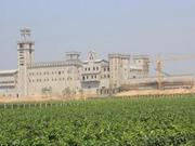 遍地开花：产业立起西咸骨架