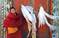 卢海林作品：生活在雪域佛门世界中的川西小喇嘛（上）