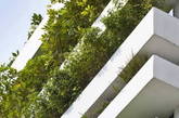 这座名为“Stacking Green”的住宅位于越南胡志明市，住宅的主人是一对30岁的夫妇和他们的妈妈。住宅呈筒形，宽4米高20米。最显著的特征是立面上层层堆积的露台以及上面摆放的大量绿色植物盆景。建筑的绿墙将污染与噪声隔绝在外，将室内的空气净化，阳光穿过绿墙在室内产生斑驳的光影，让人感觉仿佛置身雨林。（实习编辑李丹）