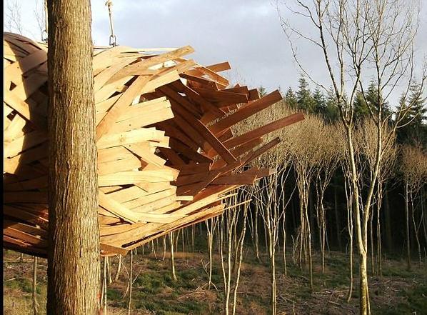 英国学生造原生态树屋 依树而建似巨型虫茧