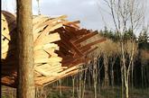 据英国《每日邮报》7月13日报道，英国AA建筑学院的三名学生在英国多赛特郡胡克公园建造了一个巨型木茧，乍看上去像是巨型昆虫在树木间筑的巢。不过，实际上这只是一个造型奇特的树屋，其被麻绳栓在离地2米的树木之间。这种“生态友好型”树屋的材料来自于公园内前几天被砍伐的雪松木。（实习编辑 谢微霄）