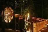 新西兰奥克兰附近一家建在树上的餐厅吸引了很多人的好奇心。这间木质小屋建在一棵坚固的松树上，距离地面40米高，外型看起来就像一只蚕茧的外壳。小屋建在红木树森林的边上，四周的板条是用白杨木制作而成，还有红木制成的栏杆。它的通道是由一个低角度的厚木板支起的，这不仅保证了顾客出入小屋的安全，更便于坐在轮椅中的顾客通行。坐在这间木质的饭店小屋中，放眼望去会看见辽阔的草坪和流淌的小河，太阳光会恰到好处地直射进小屋里，暖暖的照在身上，这是何等的惬意。（实习编辑李丹）