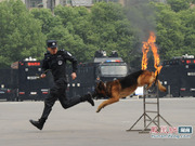 长沙特警揭开神秘面纱 与市民近距离接触