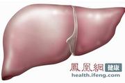 常服这5味中药 让你永不得脂肪肝（组图）