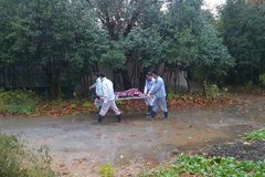 上海动物园一57岁饲养员被虎咬死