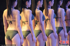 大学生艺考推荐会现场