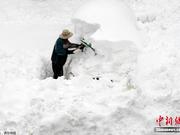 韩国江原道普降大雪 汽车被埋