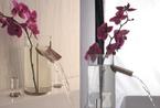 意大利Hego花瓶水龙头 浴室每天有不同的花香