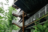 丛林中，这座绿色具有可持续性的建筑是为美国年轻的侦察兵们建造的教育中心。为了资源保护，从地面到顶层125英尺的距离，需要攀爬室外的楼梯。（实习编辑李丹）