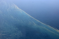 中美马越多国舰机搜寻马航客机