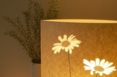 最普通的纸皮也变成艺术品质感的灯具？来自英国的设计师hannah nunn的纸皮灯，总部设在英格兰的约克郡，这些画有植物图案的设计灵感来自于自然界，给人一种美丽、温馨的自然享受。 （实习编辑：胡嘉怡）