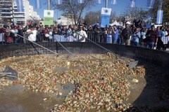 阿根廷民众烹世界最大份鸡肉饭 