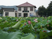 高清：凤凰湖北实地探访被曝光东湖水上餐厅