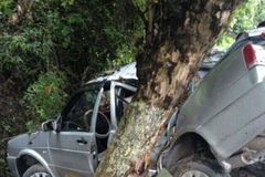 湖南一驾校教练疑泄愤飙车致3死 家属至驾校抗议