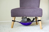 猫咪吊床。猫咪最喜欢躲在安全隐患又舒服的地方，在椅子下绑上这样一个小吊床，牠们就不会再频繁和你抢沙发坐啦。（实习编辑：温存）
