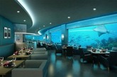 3.马尔代夫海底餐厅Ithaa：来到马尔代夫绝不能错过最具特色的水下餐厅，这是世界上第一家全玻璃水下餐厅“Ithaa”，外层是透明的有机玻璃，餐厅被颜色艳丽的珊瑚暗礁环抱着，各种海洋生物在珊瑚礁间穿梭往来。一抬头一晃眼，可能就会看到一群群五彩的鱼儿翩翩然游过，视觉的享受远远大于味觉。
