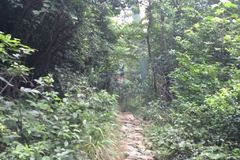 南京中山陵一男子上吊身亡