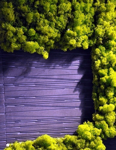 苔藓瓷砖的绿色风景 生态设计让生活更美好 