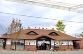 日本十大奇趣车站之贵志车站。和歌山县的贵志车站从外形设计到人员编制，与“猫”处处相关。通过传统手法用柏树皮作建筑材料，颜色像普通奶猫的毛色，屋顶中间突起两角呈猫耳朵模样。2008年，车站小卖店里饲养的黑黄相间小猫TAMA被任命为“站长”，从此白天穿戴整齐蹲在检票口敬业地站岗。平日TAMA和一家大小栖居在工作人员贴心准备的温馨小白屋—“站长室”。(实习编辑：江冬妮）