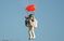 谷歌57岁高管跳伞破世界纪录：从4万米高空跳下