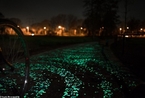 为纪念梵高  荷兰艺术家设计了“星空”自行车道
