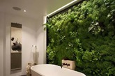 9.浴室里的苔藓墙
现代人太忙，一边泡澡一边吸氧怎么样？