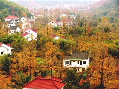 国际旅游岛 景点 > 正文         沿着曲曲折折的青石板路,向着大山更
