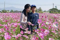 泰国前总理英拉带儿子参加冬季活动