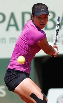 歌手李娜_李娜去年收入