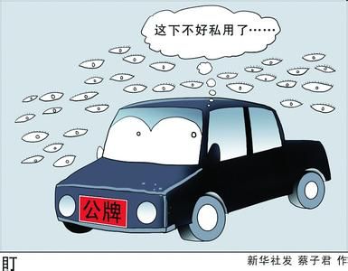 新华视点:中纪委“开方” 能否为公车腐败“刮骨疗毒”？