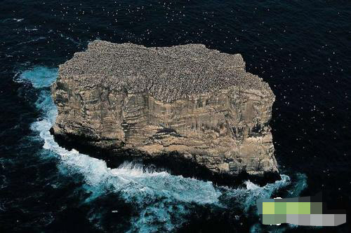  百慕大三角之 十大假说猜悬案-新浪乐居论坛