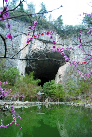 桃花源成5a景区