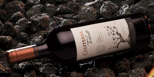 新世界葡萄酒 继承与创新中的品酒之乐