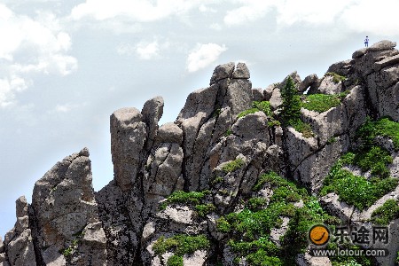 芦芽山