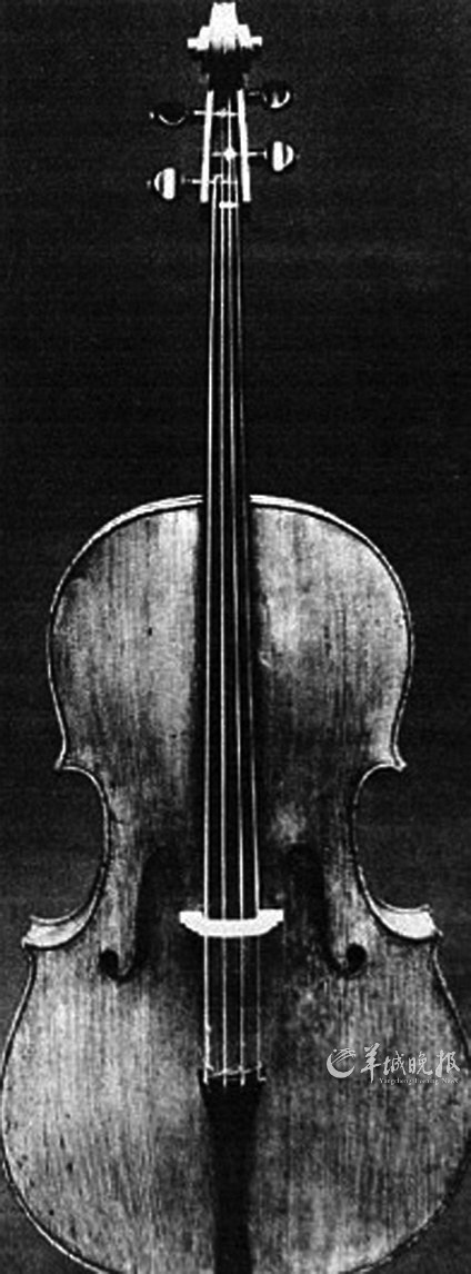 　　受损大提琴类似这把琴