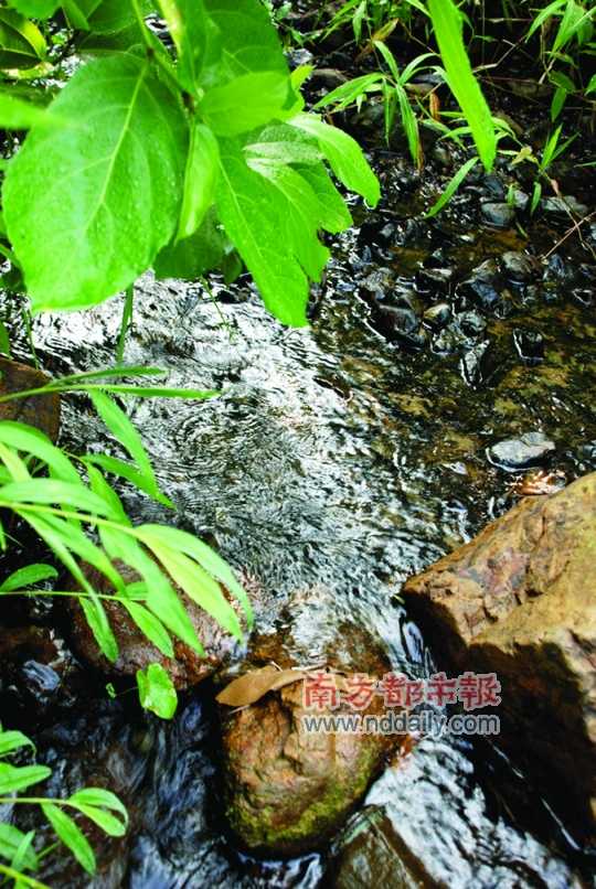 嘉泉泉水含有多种人体必需的微量元素，它是王宾村的命脉。