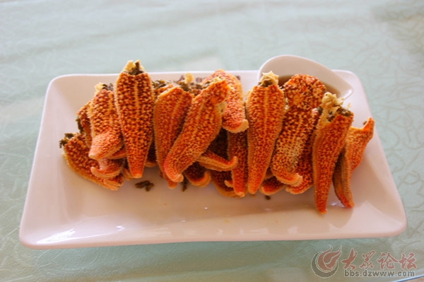 海的味道我知道 记蓬莱美食