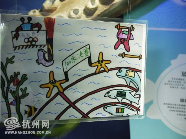 游海底 看奥运 杭州海底世界海底奥运会开幕