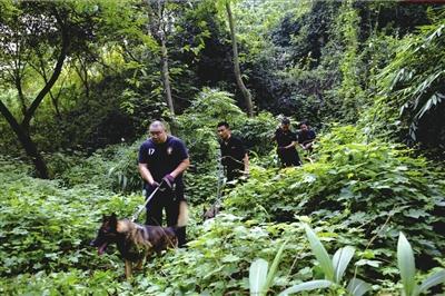 8月11日，歌乐山，警方搜捕周克华（1／2张）