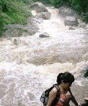 　　8月18日，大雨过后，炎陵神龙谷的水流十分湍急。图/陈俊林
