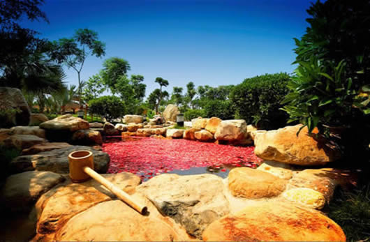 　　日月谷温泉的花瓣池，很受女性游客喜爱