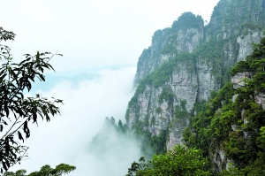 美丽的莲花山。