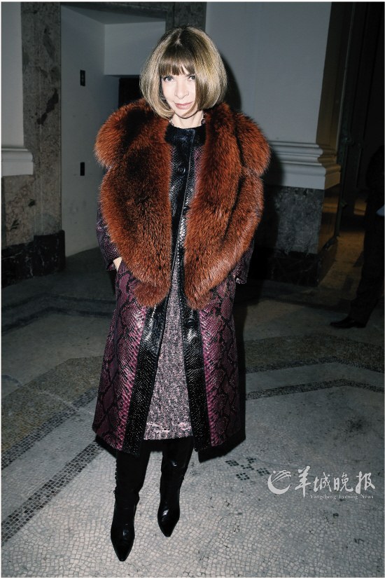 蛇态万千媚众生