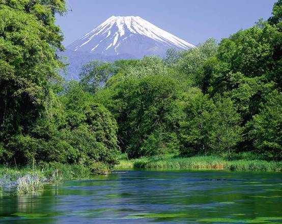富士山融雪水形成的涌水——柿田川涌水群·柿田川公园