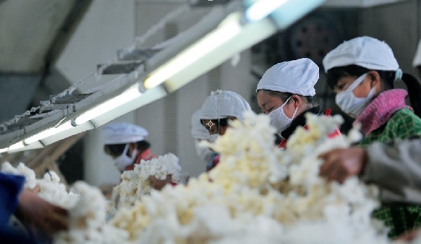 中储棉如何解决棉价倒挂难题