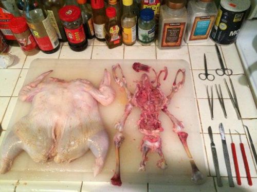 萌叔携学生齐跳僵尸舞,中美网友献策3D造车